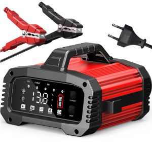 Chargeur batterie LiFePO4 25A 12V 24V avec booster