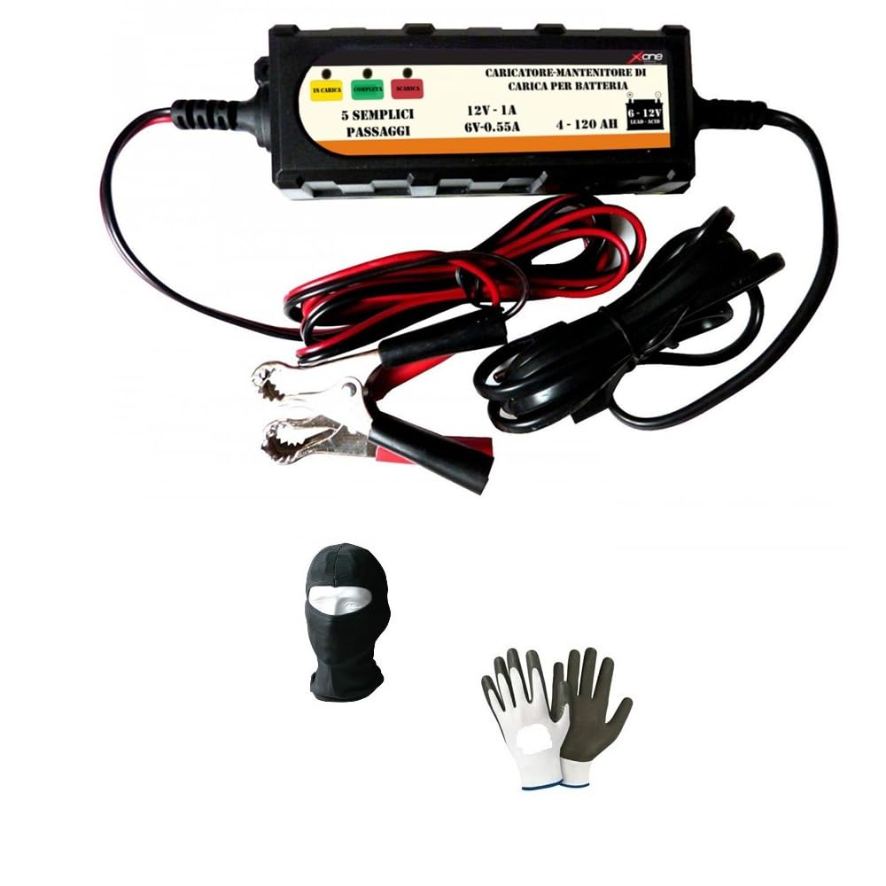 Mainteneur batterie hivernage 6V 12V plomb-gel 120 Ah